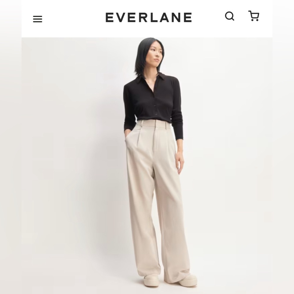 Everlane Way-High Drape Pant
